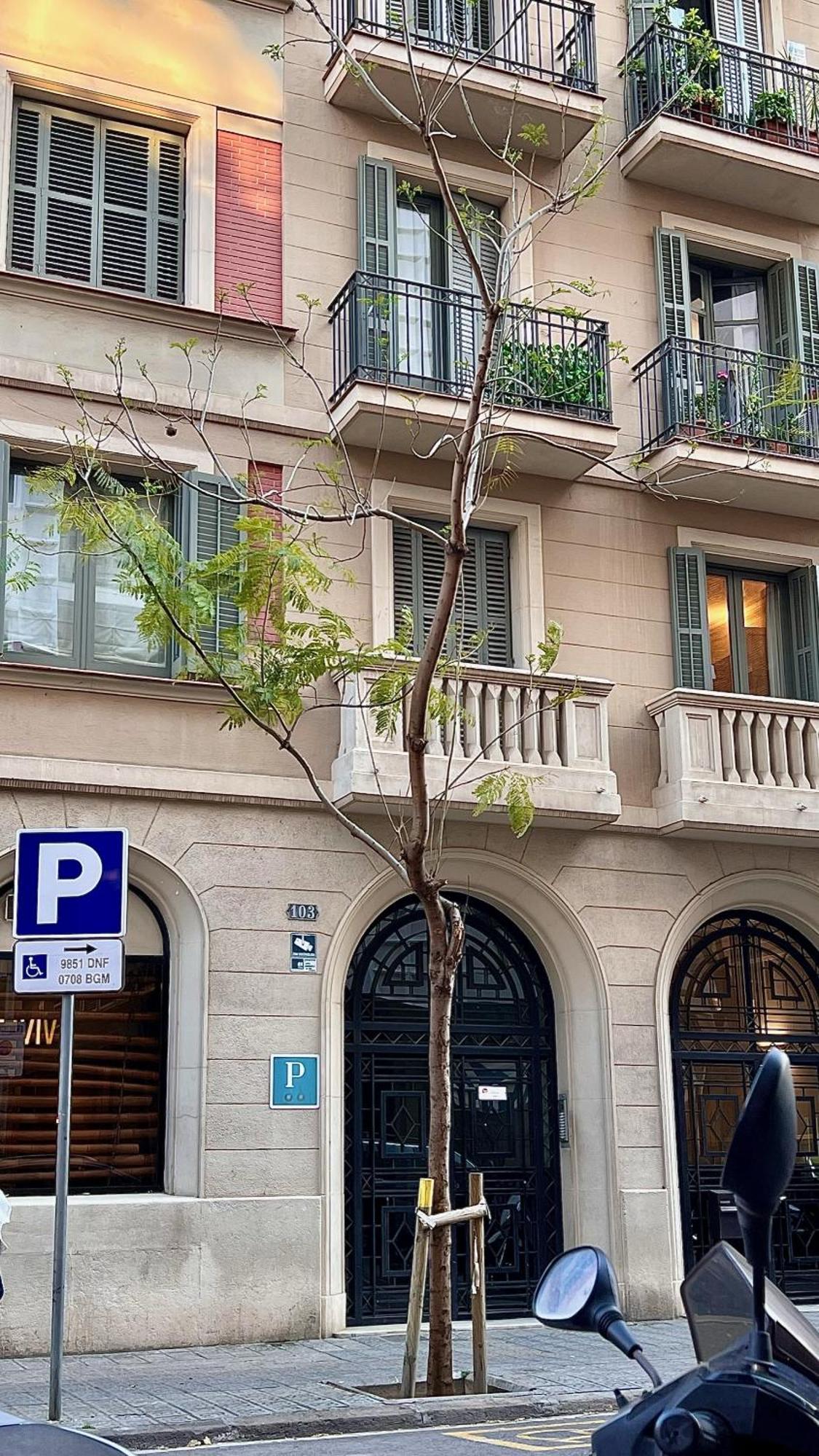 Hostal Madrazo Barcelona Exterior photo
